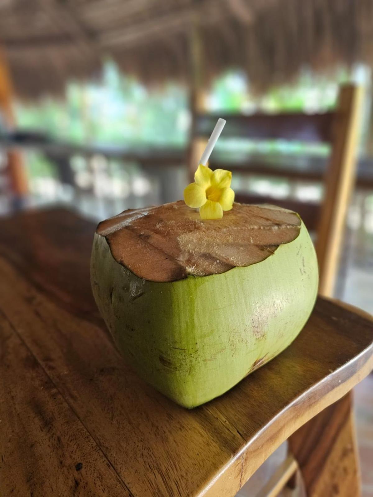 Big Bamboo Beach Resort 锡帕莱 外观 照片