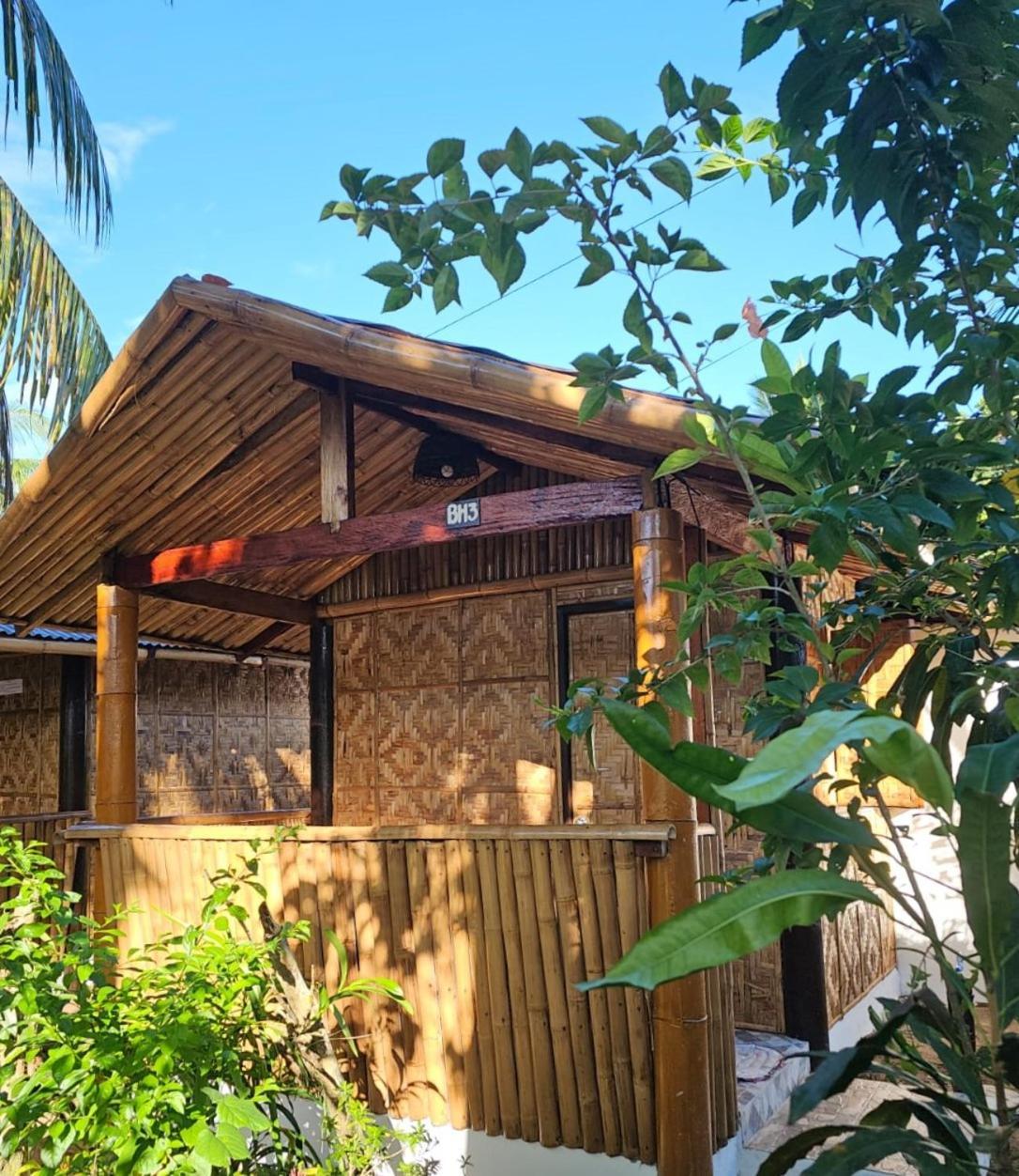 Big Bamboo Beach Resort 锡帕莱 外观 照片